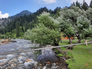  Kaşmir 'in Neelum Vadisi' ndeki Taobat Bala 'nın nefes kesici doğal güzelliği. Bu bölgede yemyeşil ağaçlarla, yüksek dağlarla ve ışıl ışıl akan pınarlarla dolu çarpıcı bir vadi var..