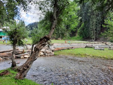  Kaşmir 'in Neelum Vadisi' ndeki Taobat Bala 'nın nefes kesici doğal güzelliği. Bu bölgede yemyeşil ağaçlarla, yüksek dağlarla ve ışıl ışıl akan pınarlarla dolu çarpıcı bir vadi var..