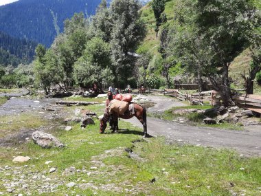 Kaşmir 'in Neelum Vadisi' ndeki Taobat Bala 'nın nefes kesici doğal güzelliği. Bu bölgede yemyeşil ağaçlarla, yüksek dağlarla ve ışıl ışıl akan pınarlarla dolu çarpıcı bir vadi var..
