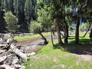 Kaşmir 'in Neelum Vadisi' ndeki Taobat Bala 'nın nefes kesici doğal güzelliği. Bu bölgede yemyeşil ağaçlarla, yüksek dağlarla ve ışıl ışıl akan pınarlarla dolu çarpıcı bir vadi var..