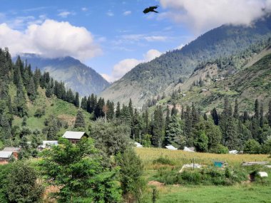  Kaşmir 'in Neelum Vadisi' ndeki Halmat köyünün göz kamaştırıcı bir perspektifi. Canlı yeşil ağaçlar, görkemli dağlar ve bol bitki örtüsü manzaralı bir manzara yaratır..