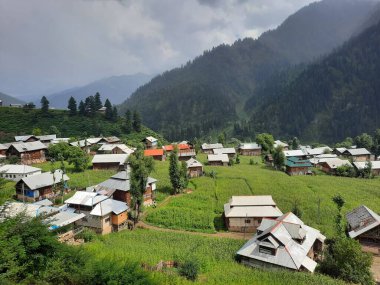   Kaşmir 'in Neelum Vadisi' ndeki Halmat köyünün göz kamaştırıcı bir perspektifi. Canlı yeşil ağaçlar, görkemli dağlar ve bol bitki örtüsü manzaralı bir manzara yaratır..