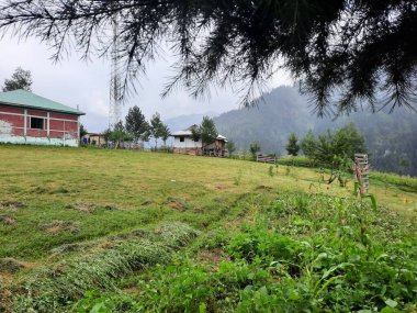  Kaşmir 'in Neelum Vadisi' ndeki Halmat köyünün göz kamaştırıcı bir perspektifi. Canlı yeşil ağaçlar, görkemli dağlar ve bol bitki örtüsü manzaralı bir manzara yaratır..