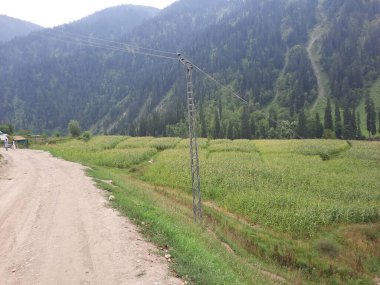  Kaşmir 'in Neelum Vadisi' ndeki Halmat köyünün göz kamaştırıcı bir perspektifi. Canlı yeşil ağaçlar, görkemli dağlar ve bol bitki örtüsü manzaralı bir manzara yaratır..