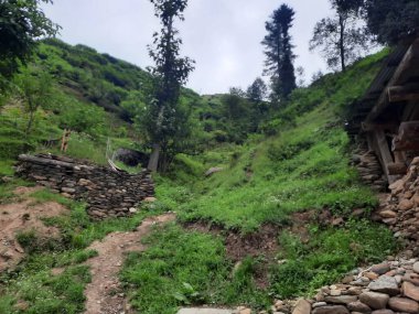  Kaşmir 'in Neelum Vadisi' ndeki Halmat köyünün göz kamaştırıcı bir perspektifi. Canlı yeşil ağaçlar, görkemli dağlar ve bol bitki örtüsü manzaralı bir manzara yaratır..