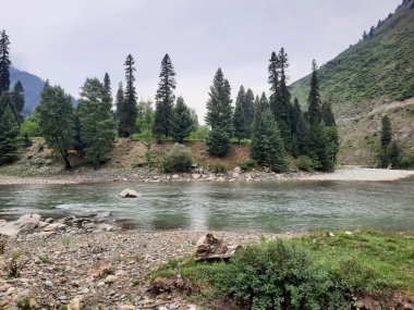  Kaşmir 'in Neelum Vadisi' ndeki Halmat köyünün göz kamaştırıcı bir perspektifi. Canlı yeşil ağaçlar, görkemli dağlar ve bol bitki örtüsü manzaralı bir manzara yaratır..