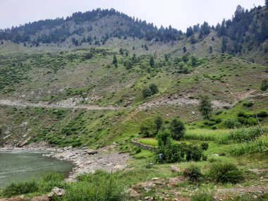   Kaşmir 'in Neelum Vadisi' ndeki Halmat köyünün göz kamaştırıcı bir perspektifi. Canlı yeşil ağaçlar, görkemli dağlar ve bol bitki örtüsü manzaralı bir manzara yaratır..