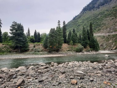   Kaşmir 'in Neelum Vadisi' ndeki Halmat köyünün göz kamaştırıcı bir perspektifi. Canlı yeşil ağaçlar, görkemli dağlar ve bol bitki örtüsü manzaralı bir manzara yaratır..