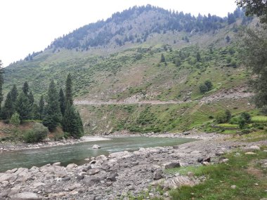   Kaşmir 'in Neelum Vadisi' ndeki Halmat köyünün göz kamaştırıcı bir perspektifi. Canlı yeşil ağaçlar, görkemli dağlar ve bol bitki örtüsü manzaralı bir manzara yaratır..