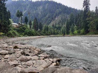   Kaşmir 'in Neelum Vadisi' ndeki Halmat köyünün göz kamaştırıcı bir perspektifi. Canlı yeşil ağaçlar, görkemli dağlar ve bol bitki örtüsü manzaralı bir manzara yaratır..