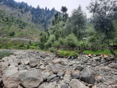   Kaşmir 'in Neelum Vadisi' ndeki Halmat köyünün göz kamaştırıcı bir perspektifi. Canlı yeşil ağaçlar, görkemli dağlar ve bol bitki örtüsü manzaralı bir manzara yaratır..