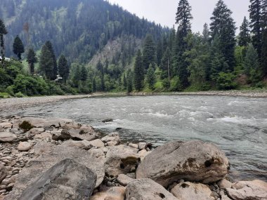   Kaşmir 'in Neelum Vadisi' ndeki Halmat köyünün göz kamaştırıcı bir perspektifi. Canlı yeşil ağaçlar, görkemli dağlar ve bol bitki örtüsü manzaralı bir manzara yaratır..