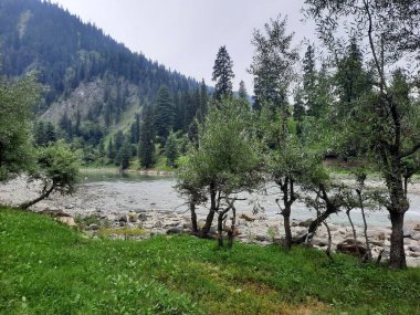   Kaşmir 'in Neelum Vadisi' ndeki Halmat köyünün göz kamaştırıcı bir perspektifi. Canlı yeşil ağaçlar, görkemli dağlar ve bol bitki örtüsü manzaralı bir manzara yaratır..
