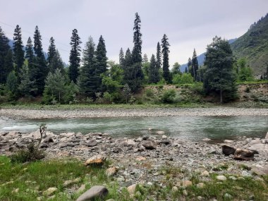   Kaşmir 'in Neelum Vadisi' ndeki Halmat köyünün göz kamaştırıcı bir perspektifi. Canlı yeşil ağaçlar, görkemli dağlar ve bol bitki örtüsü manzaralı bir manzara yaratır..