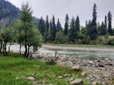   Kaşmir 'in Neelum Vadisi' ndeki Halmat köyünün göz kamaştırıcı bir perspektifi. Canlı yeşil ağaçlar, görkemli dağlar ve bol bitki örtüsü manzaralı bir manzara yaratır..
