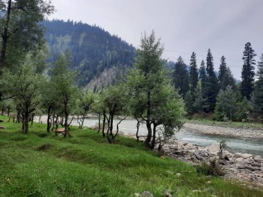   Kaşmir 'in Neelum Vadisi' ndeki Halmat köyünün göz kamaştırıcı bir perspektifi. Canlı yeşil ağaçlar, görkemli dağlar ve bol bitki örtüsü manzaralı bir manzara yaratır..