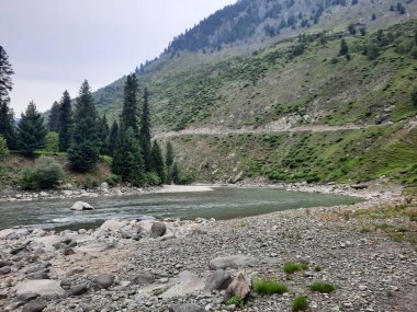  Kaşmir 'in Neelum Vadisi' ndeki Halmat köyünün göz kamaştırıcı bir perspektifi. Canlı yeşil ağaçlar, görkemli dağlar ve bol bitki örtüsü manzaralı bir manzara yaratır..
