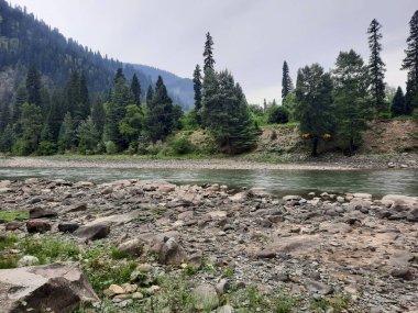  Kaşmir 'in Neelum Vadisi' ndeki Halmat köyünün göz kamaştırıcı bir perspektifi. Canlı yeşil ağaçlar, görkemli dağlar ve bol bitki örtüsü manzaralı bir manzara yaratır..