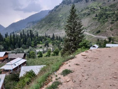  Kaşmir 'in Neelum Vadisi' ndeki Halmat köyünün göz kamaştırıcı bir perspektifi. Canlı yeşil ağaçlar, görkemli dağlar ve bol bitki örtüsü manzaralı bir manzara yaratır..