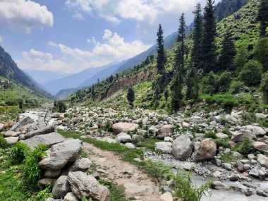Yeşil manzaralardan, yüksek tepelerden ve gelişen ağaçlardan oluşan büyüleyici bir gündüz manzarası Kashmir 'in Neelum Vadisi' ndeki Jagran Vadisi 'nde tünemiş olan Shal köyünün etrafını sarmış durumda..