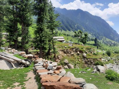 Yeşil manzaralardan, yüksek tepelerden ve gelişen ağaçlardan oluşan büyüleyici bir gündüz manzarası Kashmir 'in Neelum Vadisi' ndeki Jagran Vadisi 'nde tünemiş olan Shal köyünün etrafını sarmış durumda..