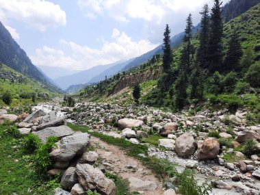 Yeşil manzaralardan, yüksek tepelerden ve gelişen ağaçlardan oluşan büyüleyici bir gündüz manzarası Kashmir 'in Neelum Vadisi' ndeki Jagran Vadisi 'nde tünemiş olan Shal köyünün etrafını sarmış durumda..