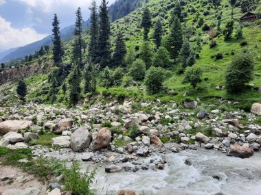 Yeşil manzaralardan, yüksek tepelerden ve gelişen ağaçlardan oluşan büyüleyici bir gündüz manzarası Kashmir 'in Neelum Vadisi' ndeki Jagran Vadisi 'nde tünemiş olan Shal köyünün etrafını sarmış durumda..