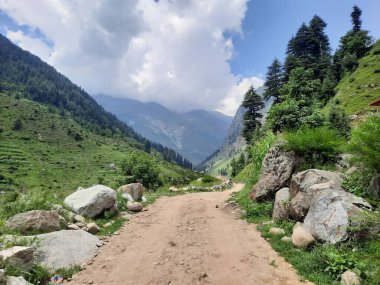 Yeşil manzaralardan, yüksek tepelerden ve gelişen ağaçlardan oluşan büyüleyici bir gündüz manzarası Kashmir 'in Neelum Vadisi' ndeki Jagran Vadisi 'nde tünemiş olan Shal köyünün etrafını sarmış durumda..