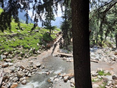 Yeşil manzaralardan, yüksek tepelerden ve gelişen ağaçlardan oluşan büyüleyici bir gündüz manzarası Kashmir 'in Neelum Vadisi' ndeki Jagran Vadisi 'nde tünemiş olan Shal köyünün etrafını sarmış durumda..