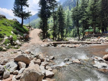 Yeşil manzaralardan, yüksek tepelerden ve gelişen ağaçlardan oluşan büyüleyici bir gündüz manzarası Kashmir 'in Neelum Vadisi' ndeki Jagran Vadisi 'nde tünemiş olan Shal köyünün etrafını sarmış durumda..