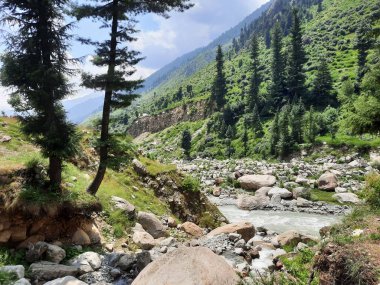 Yeşil manzaralardan, yüksek tepelerden ve gelişen ağaçlardan oluşan büyüleyici bir gündüz manzarası Kashmir 'in Neelum Vadisi' ndeki Jagran Vadisi 'nde tünemiş olan Shal köyünün etrafını sarmış durumda..