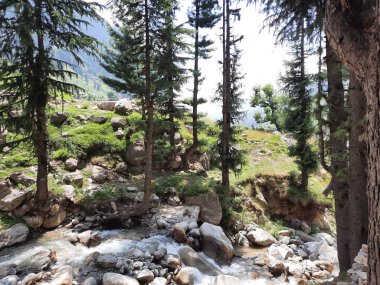 Yeşil manzaralardan, yüksek tepelerden ve gelişen ağaçlardan oluşan büyüleyici bir gündüz manzarası Kashmir 'in Neelum Vadisi' ndeki Jagran Vadisi 'nde tünemiş olan Shal köyünün etrafını sarmış durumda..