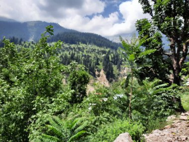 Yeşil manzaralardan, yüksek tepelerden ve gelişen ağaçlardan oluşan büyüleyici bir gündüz manzarası Kashmir 'in Neelum Vadisi' ndeki Jagran Vadisi 'nde tünemiş olan Shal köyünün etrafını sarmış durumda..