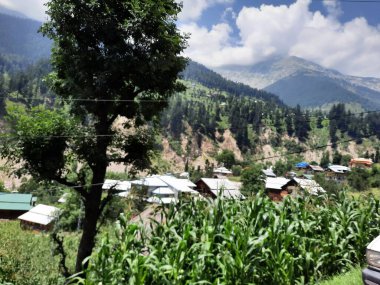 Yeşil manzaralardan, yüksek tepelerden ve gelişen ağaçlardan oluşan büyüleyici bir gündüz manzarası Kashmir 'in Neelum Vadisi' ndeki Jagran Vadisi 'nde tünemiş olan Shal köyünün etrafını sarmış durumda..