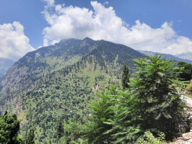 Yeşil manzaralardan, yüksek tepelerden ve gelişen ağaçlardan oluşan büyüleyici bir gündüz manzarası Kashmir 'in Neelum Vadisi' ndeki Jagran Vadisi 'nde tünemiş olan Shal köyünün etrafını sarmış durumda..