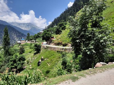 Yeşil manzaralardan, yüksek tepelerden ve gelişen ağaçlardan oluşan büyüleyici bir gündüz manzarası Kashmir 'in Neelum Vadisi' ndeki Jagran Vadisi 'nde tünemiş olan Shal köyünün etrafını sarmış durumda..
