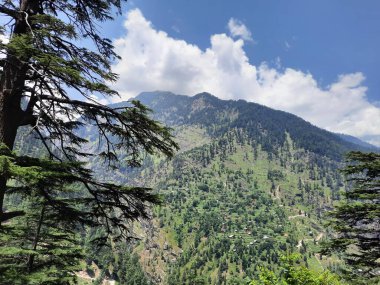 Yeşil manzaralardan, yüksek tepelerden ve gelişen ağaçlardan oluşan büyüleyici bir gündüz manzarası Kashmir 'in Neelum Vadisi' ndeki Jagran Vadisi 'nde tünemiş olan Shal köyünün etrafını sarmış durumda..