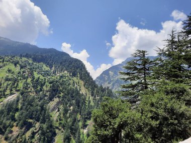 Yeşil manzaralardan, yüksek tepelerden ve gelişen ağaçlardan oluşan büyüleyici bir gündüz manzarası Kashmir 'in Neelum Vadisi' ndeki Jagran Vadisi 'nde tünemiş olan Shal köyünün etrafını sarmış durumda..