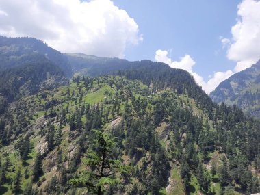 Yeşil manzaralardan, yüksek tepelerden ve gelişen ağaçlardan oluşan büyüleyici bir gündüz manzarası Kashmir 'in Neelum Vadisi' ndeki Jagran Vadisi 'nde tünemiş olan Shal köyünün etrafını sarmış durumda..