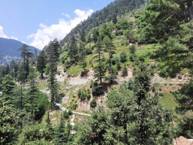 Yeşil manzaralardan, yüksek tepelerden ve gelişen ağaçlardan oluşan büyüleyici bir gündüz manzarası Kashmir 'in Neelum Vadisi' ndeki Jagran Vadisi 'nde tünemiş olan Shal köyünün etrafını sarmış durumda..