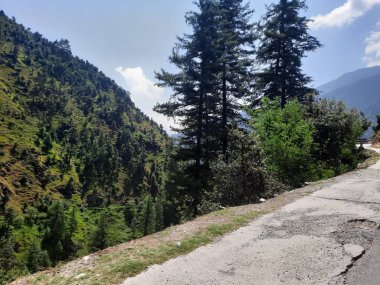 Yeşil manzaralardan, yüksek tepelerden ve gelişen ağaçlardan oluşan büyüleyici bir gündüz manzarası Kashmir 'in Neelum Vadisi' ndeki Jagran Vadisi 'nde tünemiş olan Shal köyünün etrafını sarmış durumda..