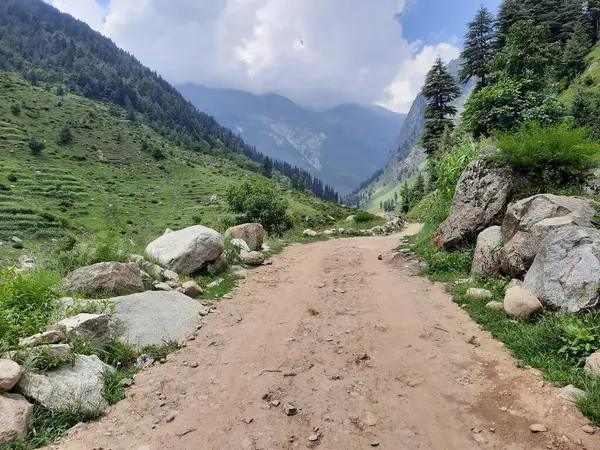 Yeşil manzaralardan, yüksek tepelerden ve gelişen ağaçlardan oluşan büyüleyici bir gündüz manzarası Kashmir 'in Neelum Vadisi' ndeki Jagran Vadisi 'nde tünemiş olan Shal köyünün etrafını sarmış durumda..