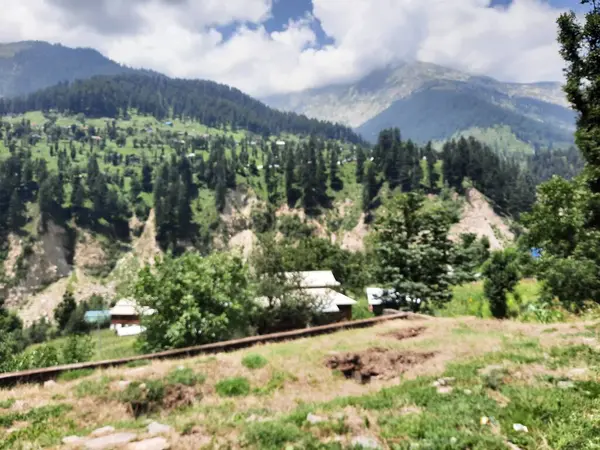 Yeşil manzaralardan, yüksek tepelerden ve gelişen ağaçlardan oluşan büyüleyici bir gündüz manzarası Kashmir 'in Neelum Vadisi' ndeki Jagran Vadisi 'nde tünemiş olan Shal köyünün etrafını sarmış durumda..