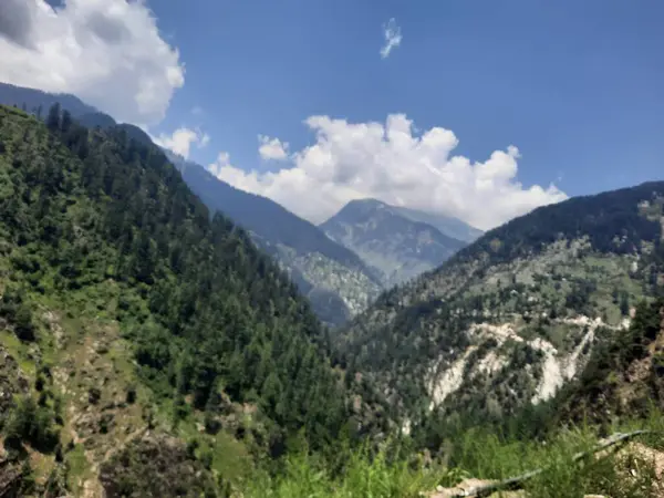 Yeşil manzaralardan, yüksek tepelerden ve gelişen ağaçlardan oluşan büyüleyici bir gündüz manzarası Kashmir 'in Neelum Vadisi' ndeki Jagran Vadisi 'nde tünemiş olan Shal köyünün etrafını sarmış durumda..