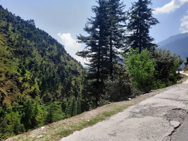 Yeşil manzaralardan, yüksek tepelerden ve gelişen ağaçlardan oluşan büyüleyici bir gündüz manzarası Kashmir 'in Neelum Vadisi' ndeki Jagran Vadisi 'nde tünemiş olan Shal köyünün etrafını sarmış durumda..