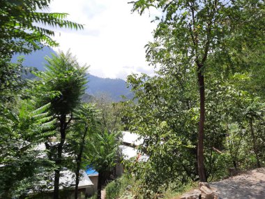 Kaşmir 'deki Neelum Vadisi' nin göz kamaştırıcı gündüz manzarası. Kaşmir 'deki Neelum Vadisi nefes kesici bir yerdir. Bereketli yeşil manzarası, uzun ağaçları ve canlı yeşilliği cennete benzer bir manzara yaratır..