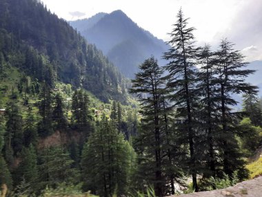 Kaşmir 'deki Neelum Vadisi' nin göz kamaştırıcı gündüz manzarası. Kaşmir 'deki Neelum Vadisi nefes kesici bir yerdir. Bereketli yeşil manzarası, uzun ağaçları ve canlı yeşilliği cennete benzer bir manzara yaratır..