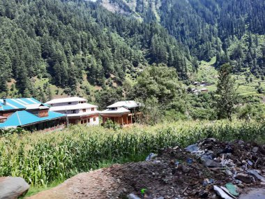 Kaşmir 'deki Neelum Vadisi' nin göz kamaştırıcı gündüz manzarası. Kaşmir 'deki Neelum Vadisi nefes kesici bir yerdir. Bereketli yeşil manzarası, uzun ağaçları ve canlı yeşilliği cennete benzer bir manzara yaratır..