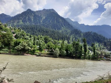 Kaşmir 'deki Neelum Vadisi' nin göz kamaştırıcı gündüz manzarası. Kaşmir 'deki Neelum Vadisi nefes kesici bir yerdir. Bereketli yeşil manzarası, uzun ağaçları ve canlı yeşilliği cennete benzer bir manzara yaratır..