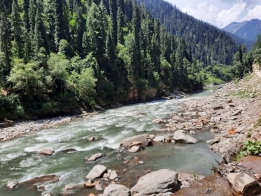 Kaşmir 'deki Neelum Vadisi' nin göz kamaştırıcı gündüz manzarası. Kaşmir 'deki Neelum Vadisi nefes kesici bir yerdir. Bereketli yeşil manzarası, uzun ağaçları ve canlı yeşilliği cennete benzer bir manzara yaratır..